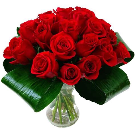 Numaonline Love 20 Red Roses