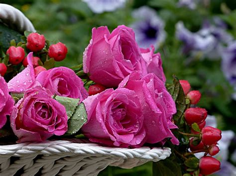 Flor Rosa Vaso De Flores Foto Gratuita No Pixabay Rose Flower