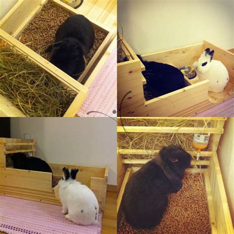 Such A Cute Rabbit Litter Box With Built In Hay Feeder My Bun However