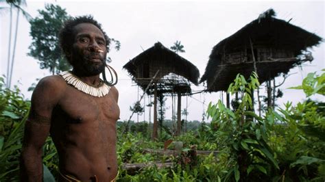 Foto Facts About The Korowai Tribe Tree House