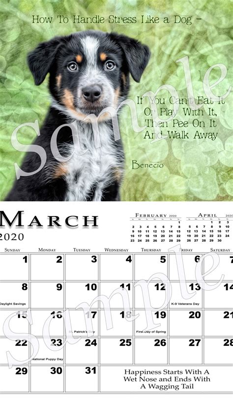 Calendars Dogs