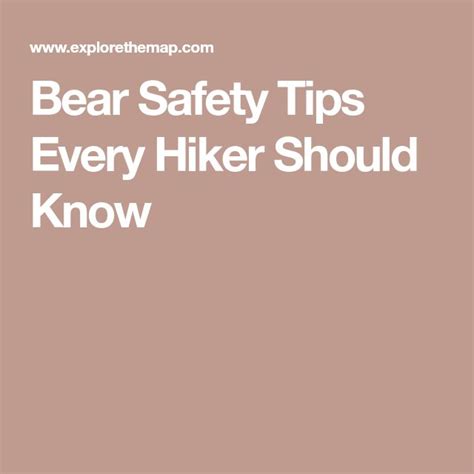 Bear Safety Tips Every Hiker Should Know Safety Tips Tips Safety