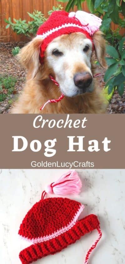 Crochet Dog Hat Free Crochet Pattern Goldenlucycrafts