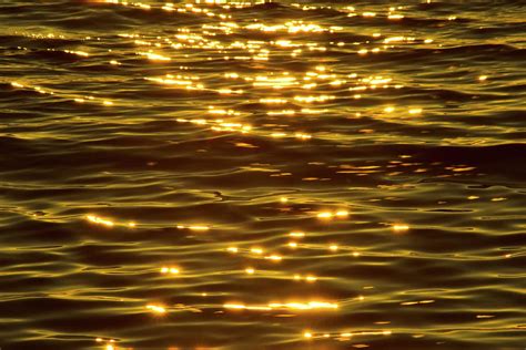 Gold Sea By Benl
