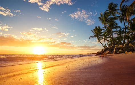 Sunrise Tropical Island Beach View Hd Picture 03 Free Download