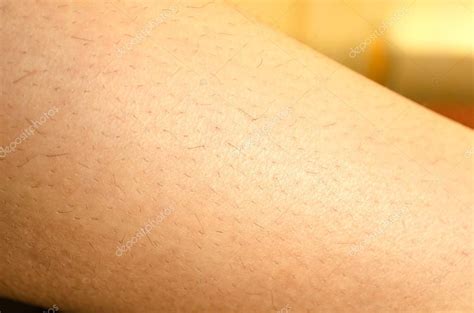 One Woman Hairy Leg Stock Photo By Petenceto 61975901