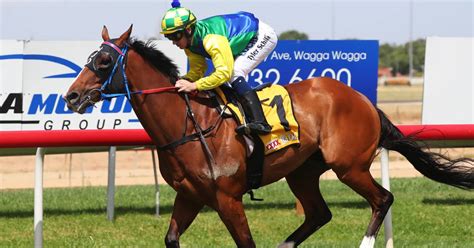 Supreme Polarity To Target Ted Ryder Cup After Dominant Wagga Win The Daily Advertiser Wagga