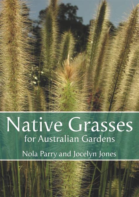 Australian Native Grasses Ubicaciondepersonas Cdmx Gob Mx