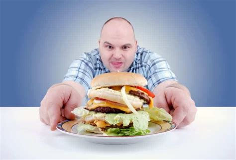 high fat diet might put your mental health at risk