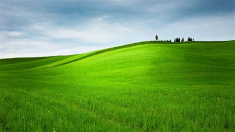 Green grass field, lawn gratis, green grass background free of material. hill grass trees landscape nature field green wallpaper ...