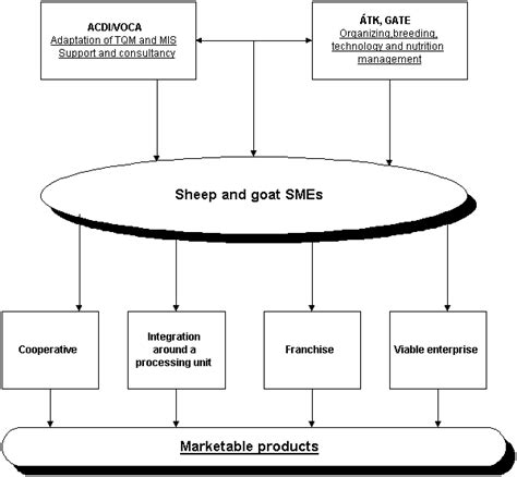 Fodder planning plays an important role in health issues and cost management. Best retail business to start uk, seasonal business ideas 2009, goat farming business plan
