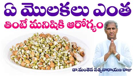 ఏ మొలకలు ఎంత తింటే మనిషికి ఆరోగ్యం Molakalu Sprouts The Best Dr