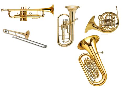 Brass Instruments Music Showme