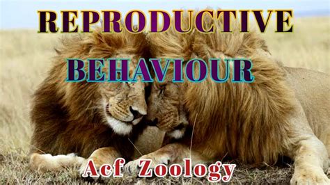 Reproductive Behaviour Sexual Selection Animal Behavior Acf