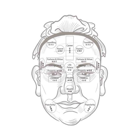 Chinese Face And Body Reading In Nyc Firebird Acupuncture