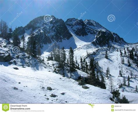 Beautiful Snowy Winter Landscape In The Mountains Stock