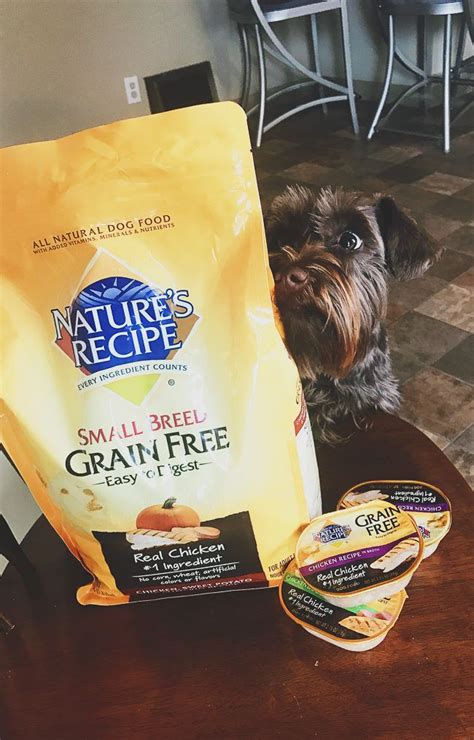 We have had 50% of the bags of this food come damaged/ripped open because walmart does not put it in a box. Nature's Recipe Now At Walmart | Dog food recipes, All ...