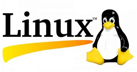 Freebsd Vs Linux Whats The Difference An Os Comparison Guide