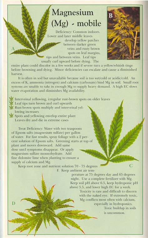 Guidesresources Microgrowery