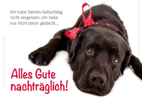 Du würdest gerne eine geburtstagskarte schreiben, weißt aber nicht, was du schreiben sollst? Doppelkarte Geburtstagskarte Geburtstag vergessen süßer ...