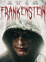 Frankenstein (2015) - Posters — The Movie Database (TMDB)