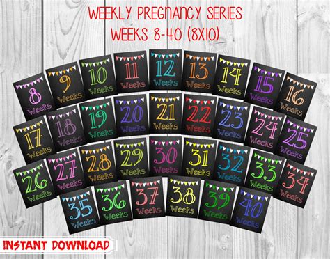 weekly pregnancy chalkboard photo props weeks by mmasondesigns
