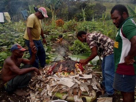 (msnbc) papua new guinea police arrested 29 members of an alleged cannibal cult and charged them with the murder of at least seven suspected witch the 29 people were part of a group of about 1,000 who are against the sorcerers charging increasingly higher fees, the afp news service reported. Emmalo - Female Penpal from Papua New Guinea