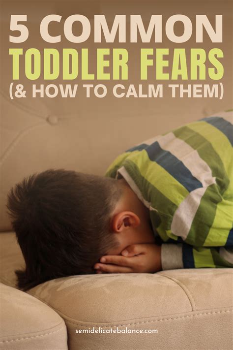 5 Common Toddler Fears And How To Calm Them Semi Delicate Balance