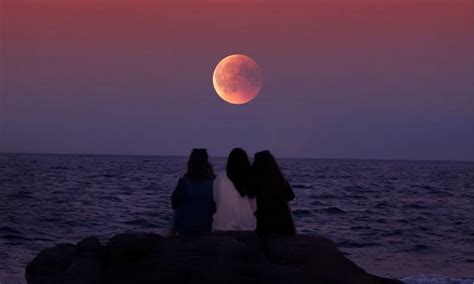 Liga bbva, liga adelante, champions league, europa torpedo kutaisi. Primera 'Luna de Lobo' del 2021 es mañana jueves, ¡conoce ...