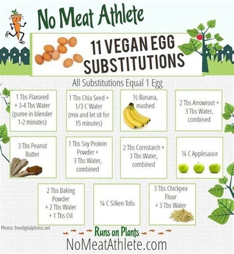 5 Reasons to Reject Eggs and How to Eat Without Them - Plant Based