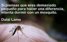 His holiness expressed his mission in this embodiment in this way #10. Mosquito Dalai Lama Quotes. QuotesGram