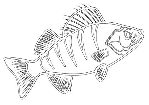 perch coloring pages    print