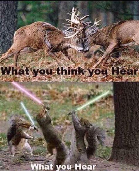 Pin By Lori Huyck On Awesome Deer Hunting Humor Hunting