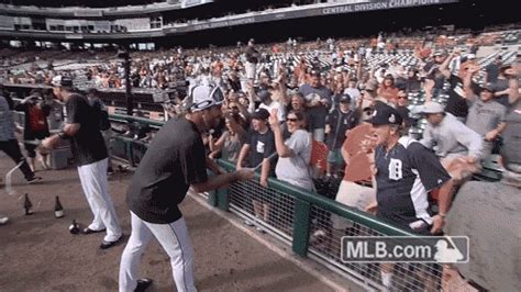  By Mlb Find And Share On Giphy