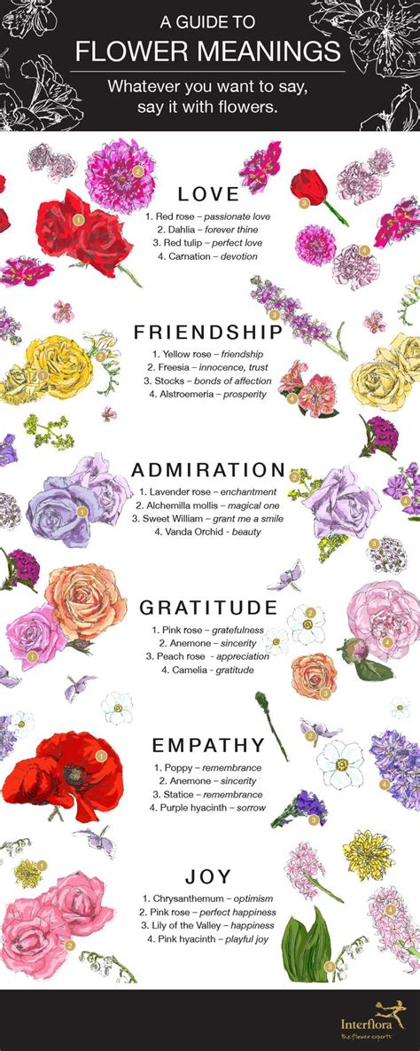 Flower Meanings Infographic Interflora Flower Meanings Language Of Flowers Rose Color Meanings