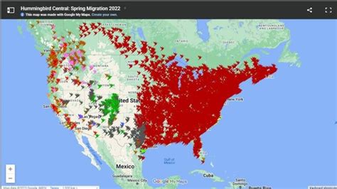 2023 Hummingbird Migration Map Find Out When To Expect Them