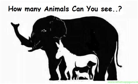 How Many Animals Do You See In The Photo Neo World