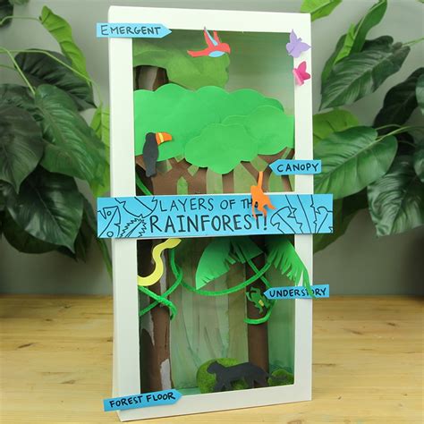 Rainforest Layers For Kids With Animals