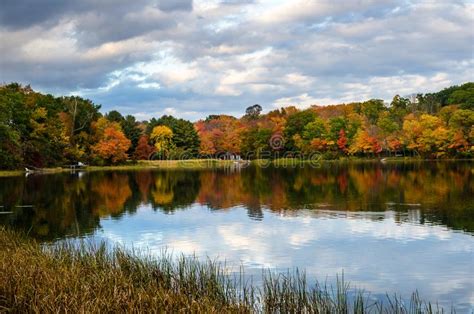 Colourful Autumn Trees On The Shore Of A Lake And Cloudy Sky Stock