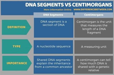 Difference Between Dna Segments And Centimorgans Compare The