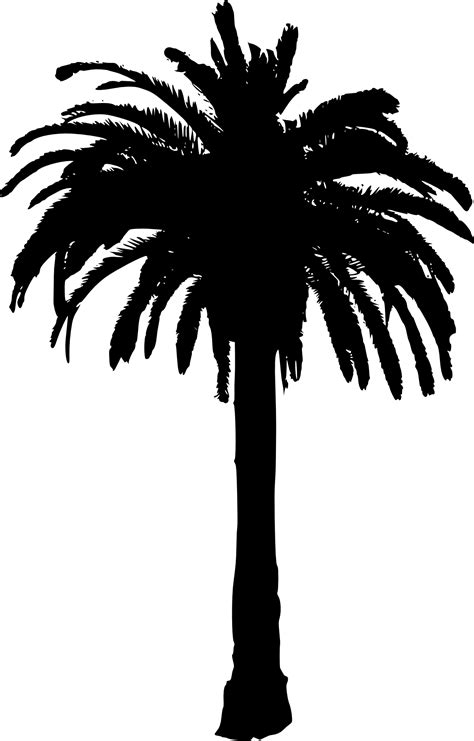 Easy Palm Tree Drawing Free Download On Clipartmag