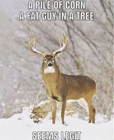 Deer Hunting Funny Hunting Memes Risa Quote