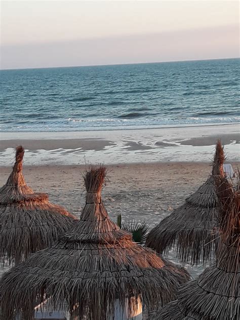 Free Images Sea Body Of Water Beach Ocean Shore Wood Sky Coast