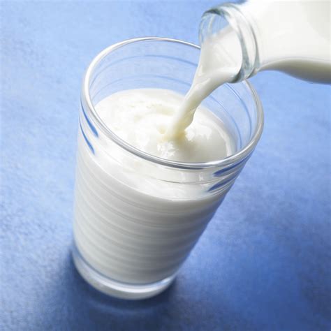 Lait de chèvre ou brebis alternatives au lait de vache