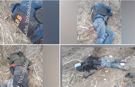 shootout between gulf cartel factions from matamoros and reynosa leave 6 dead ~ borderland beat