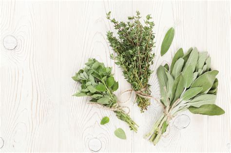 10 Culinary Herbs And Their Medicinal Uses Nourished Kitchen