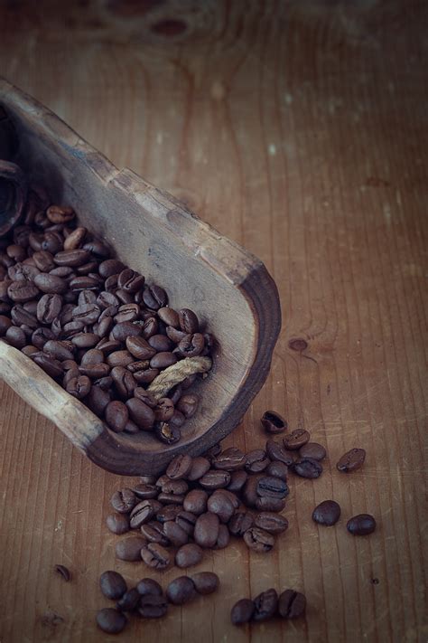 Free Images Hand Wood Dark Food Produce Brown Soil Drink