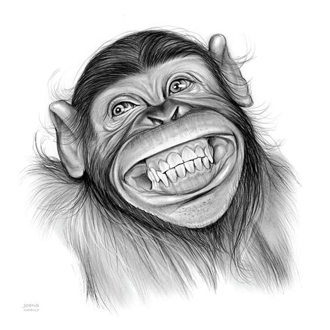 Chimpanzee By Greg Joens Monkey Drawing Animal Drawings Animal