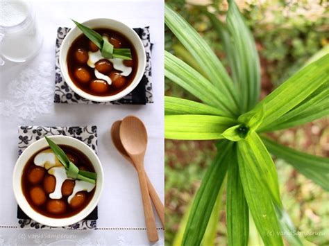 Campur sisa santan bersama garam dan daun pandan. Adventurelicious | a food and travel blog: Bubur Biji Salak