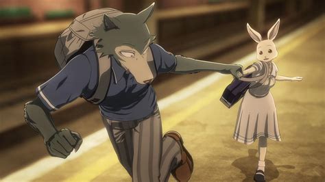 Beastars Season 3s Release Date Cast And All You Need To Know